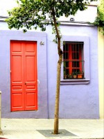 /album/landscape/a247086-1754325417592-2246041-n-copia-jpg/